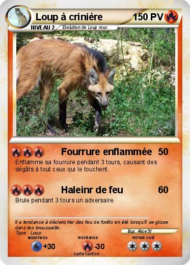 Pokemon Loup à crinière