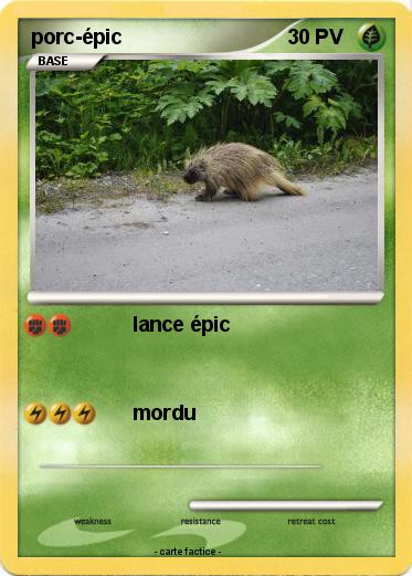 Pokemon porc-épic