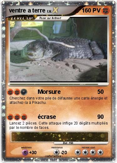 Pokemon ventre a terre