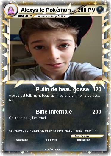 Pokemon Alexys le Pokémon .