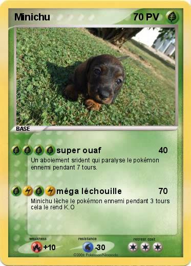 Pokemon Minichu