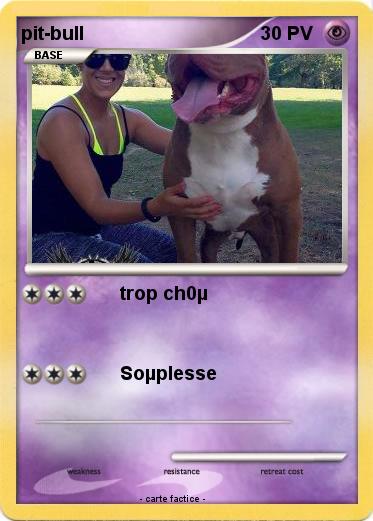 Pokemon pit-bull