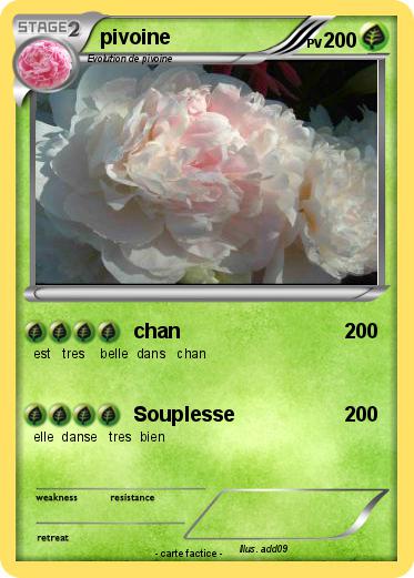 Pokemon pivoine