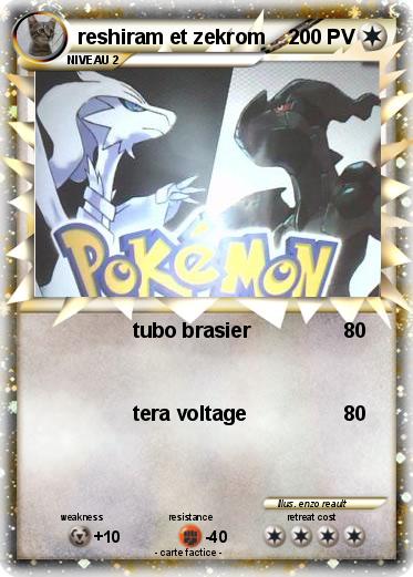 Pokemon reshiram et zekrom