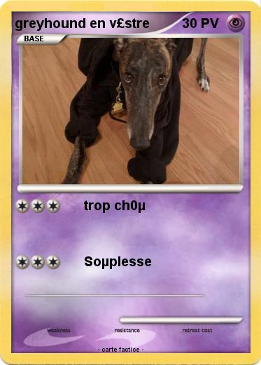 Pokemon greyhound en v£stre