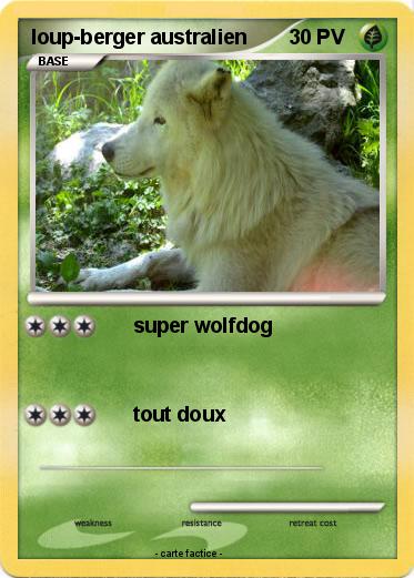 Pokemon loup-berger australien