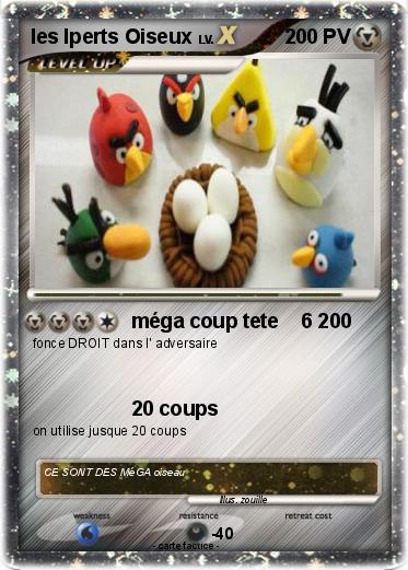 Pokemon les Iperts Oiseux