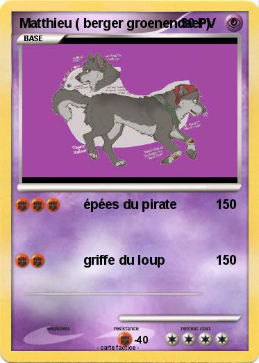 Pokemon Matthieu ( berger groenendael )