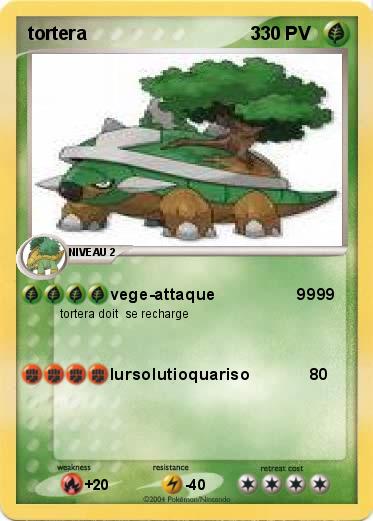 Pokemon tortera                                3