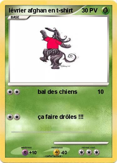 Pokemon lévrier afghan en t-shirt