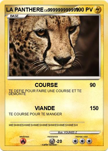 Pokemon LA PANTHERE