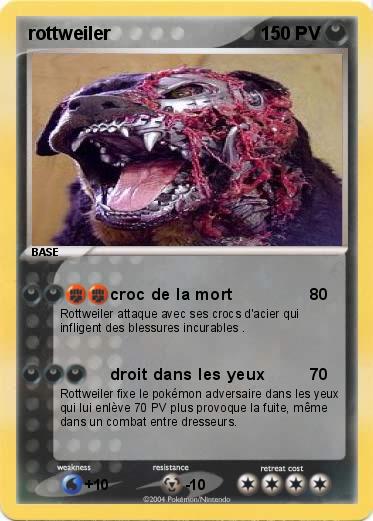 Pokemon rottweiler