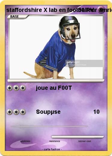 Pokemon staffordshire X lab en footballeur amricain