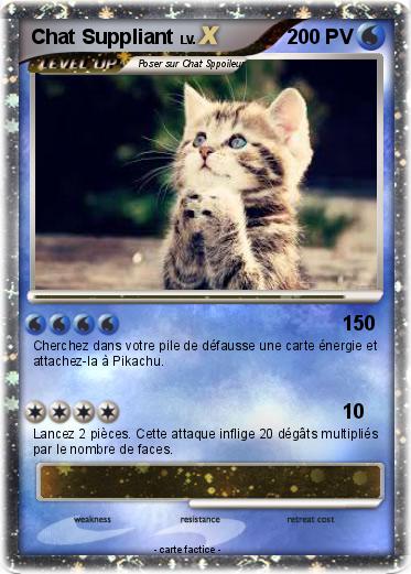 Pokemon Chat Suppliant