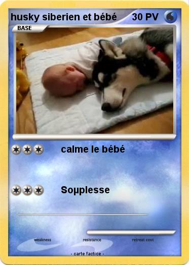 Pokemon husky siberien et bébé