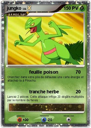 Pokemon jungko