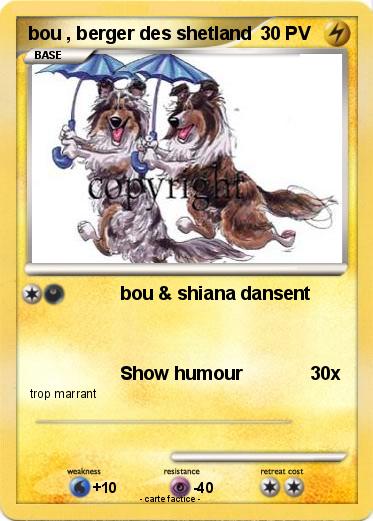 Pokemon bou , berger des shetland