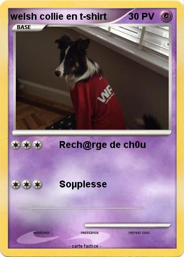 Pokemon welsh collie en t-shirt