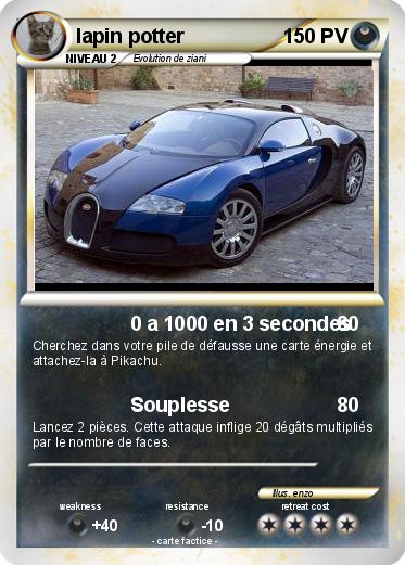 Pokemon lapin potter