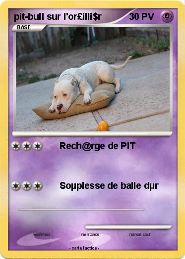 Pokemon pit-bull sur l'or£illi$r