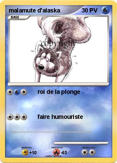 Pokemon malamute d'alaska