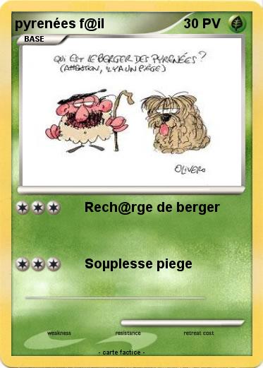 Pokemon pyrenées f@il