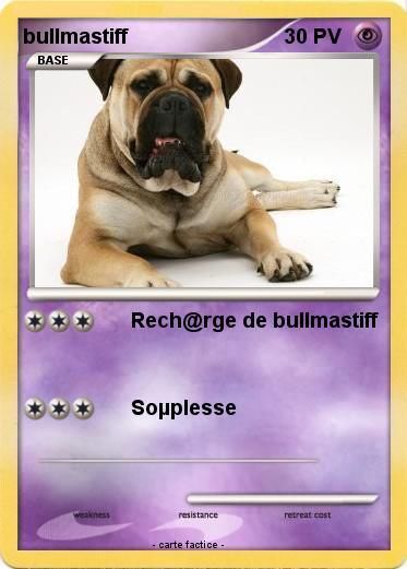 Pokemon bullmastiff