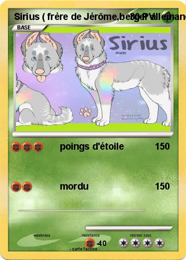 Pokemon Sirius ( frère de Jérôme,berger allemand)