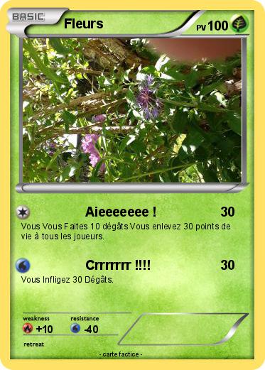 Pokemon Fleurs