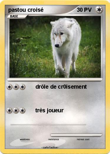 Pokemon pastou croisé