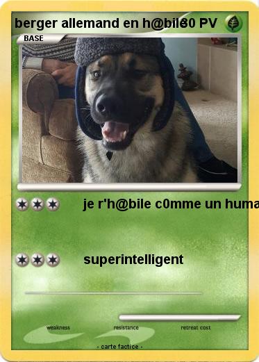 Pokemon berger allemand en h@bile