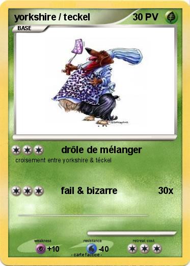 Pokemon yorkshire / teckel