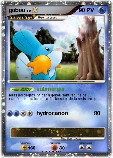 Pokemon gobou