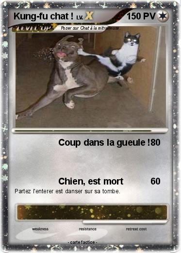 Pokemon Kung-fu chat !