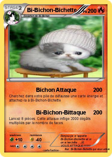 Pokemon Bi-Bichon-Bichette