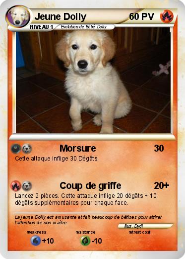 Pokemon Jeune Dolly