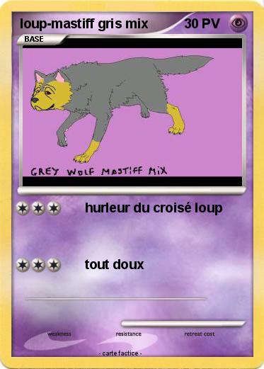 Pokemon loup-mastiff gris mix