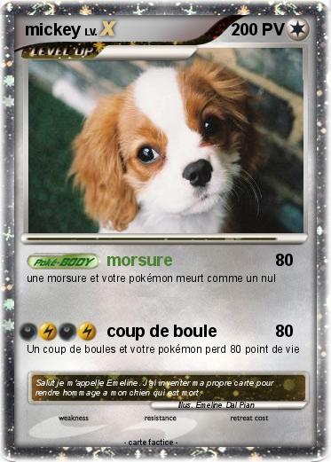 Pokemon mickey