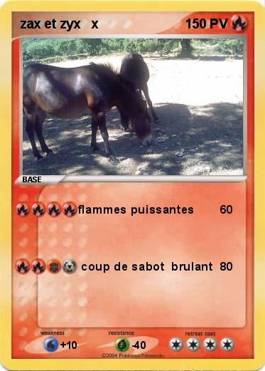 Pokemon zax et zyx   x