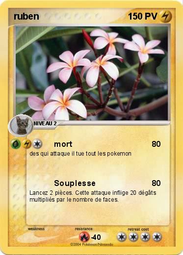 Pokemon ruben