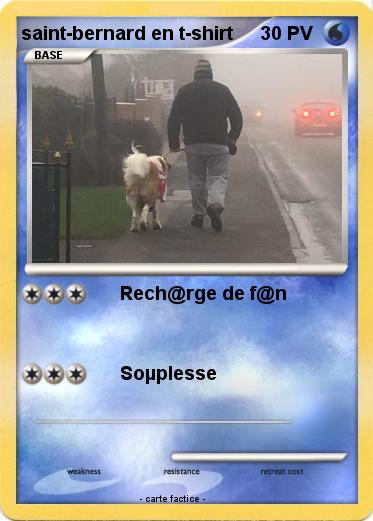 Pokemon saint-bernard en t-shirt