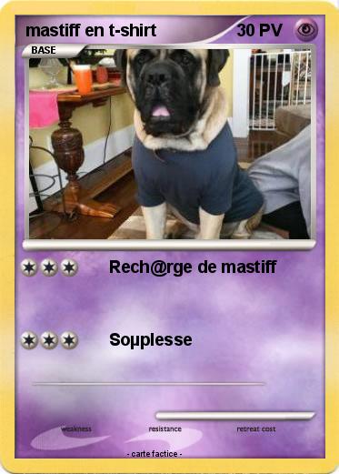 Pokemon mastiff en t-shirt