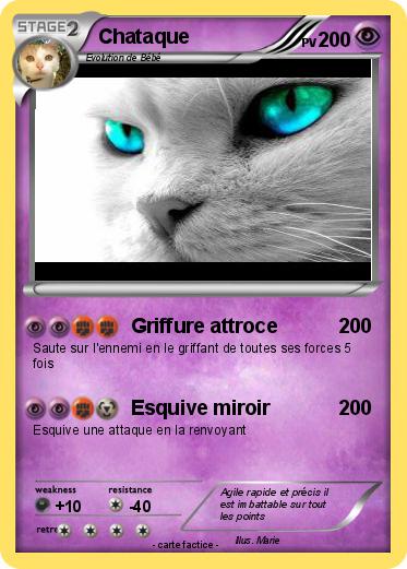 Pokemon Chataque