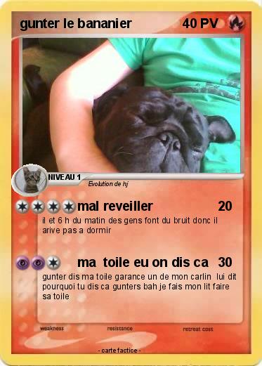 Pokemon gunter le bananier