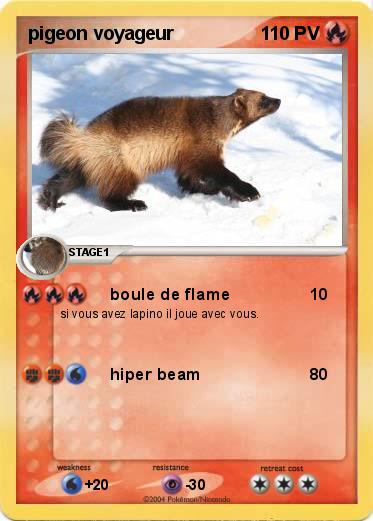 Pokemon pigeon voyageur 
