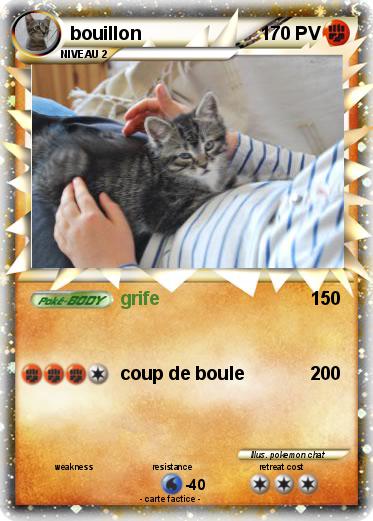 Pokemon bouillon