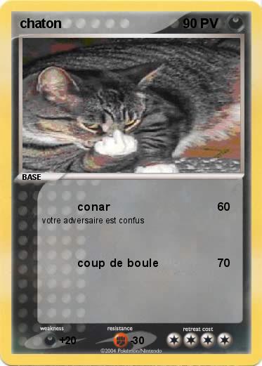 Pokemon chaton