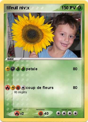 Pokemon tifeuil niv:x