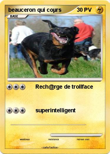 Pokemon beauceron qui coµrs