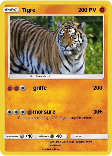 Pokemon Tigre